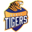 Hubli Tigers Women-logo