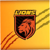 Team logo