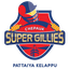 Chepauk Super Gillies Flag